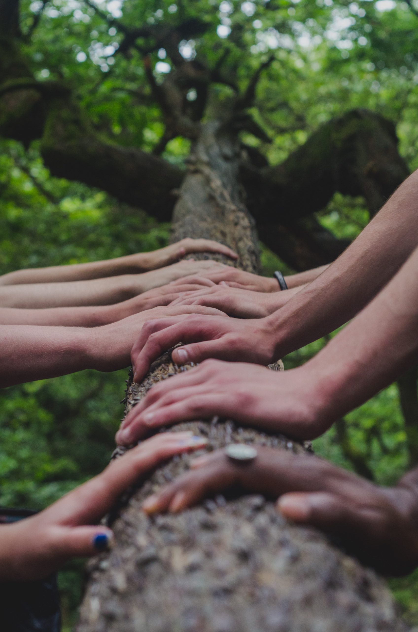 The Power of Inquiry and Listening