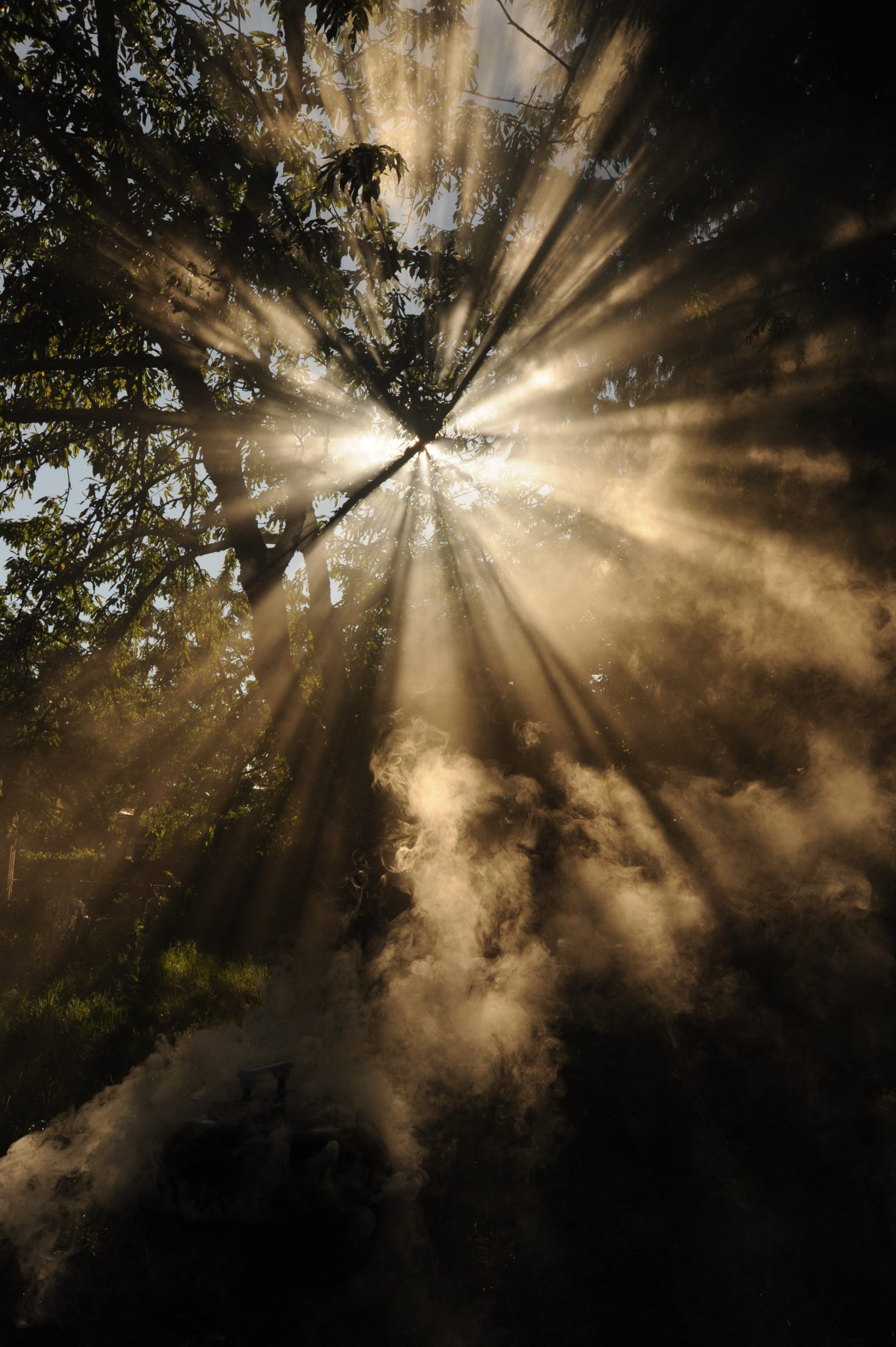 Fearless Leaders are Vulnerable and Hopeless